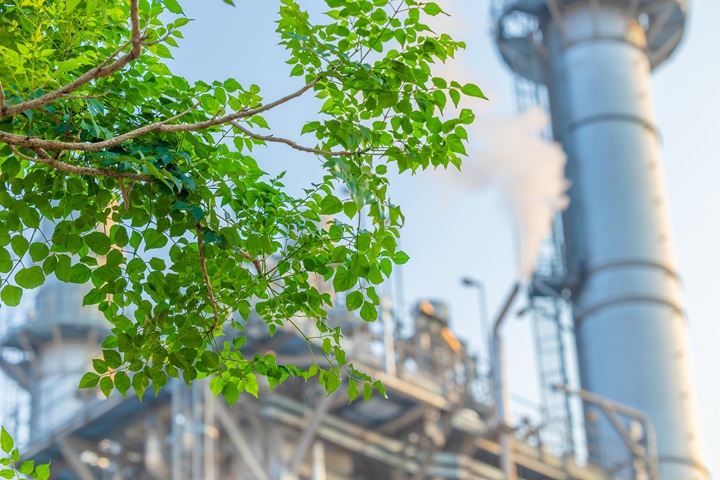 Process plant and green trees